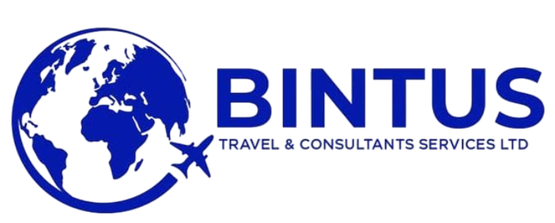 Bintus Consult Logo